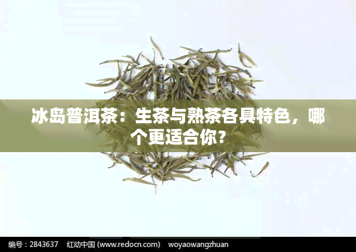 冰岛普洱茶：生茶与熟茶各具特色，哪个更适合你？