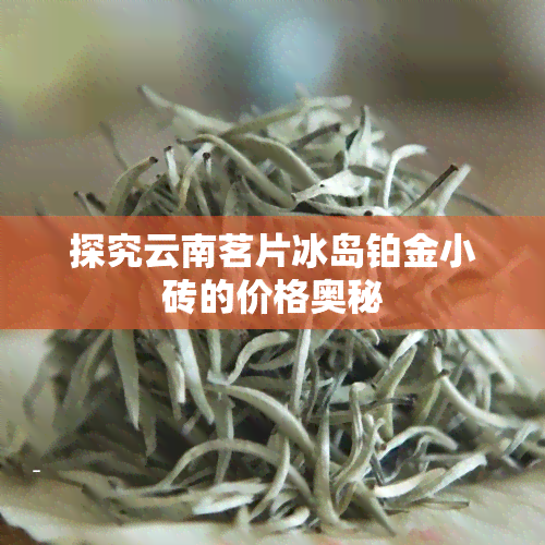 探究云南茗片冰岛铂金小砖的价格奥秘