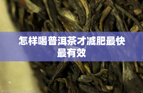 怎样喝普洱茶才减肥最快最有效