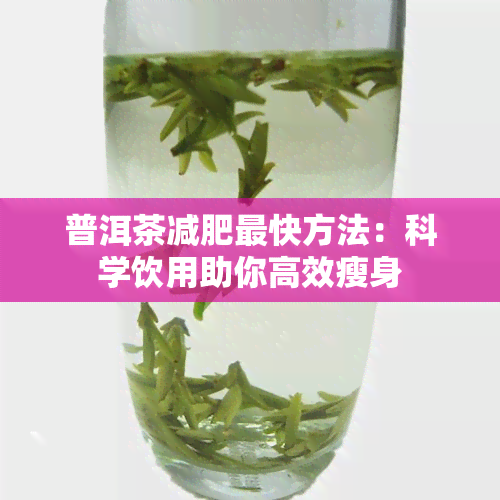 普洱茶减肥最快方法：科学饮用助你高效瘦身