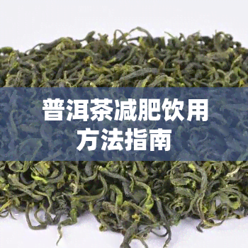 普洱茶减肥饮用方法指南