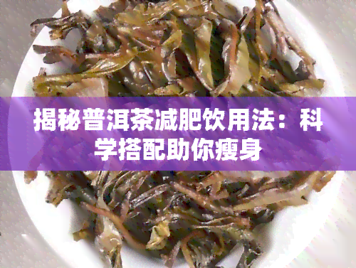 揭秘普洱茶减肥饮用法：科学搭配助你瘦身