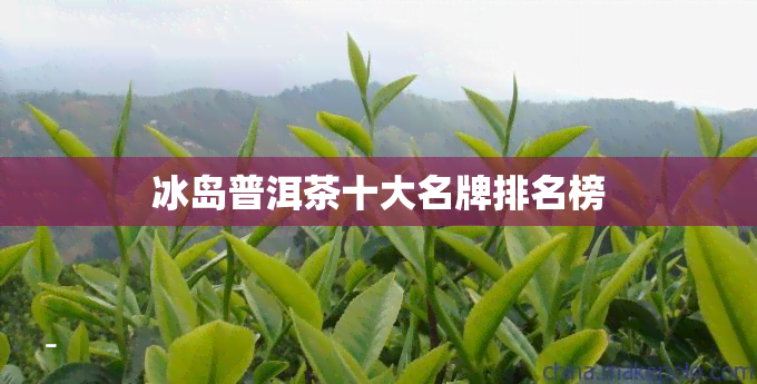 冰岛普洱茶十大名牌排名榜