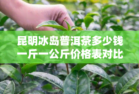 昆明冰岛普洱茶多少钱一斤一公斤价格表对比