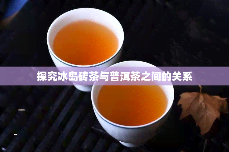 探究冰岛砖茶与普洱茶之间的关系