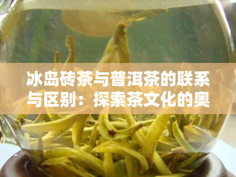 冰岛砖茶与普洱茶的联系与区别：探索茶文化的奥秘