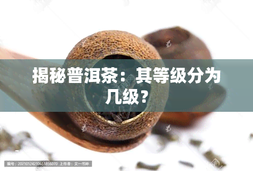 揭秘普洱茶：其等级分为几级？