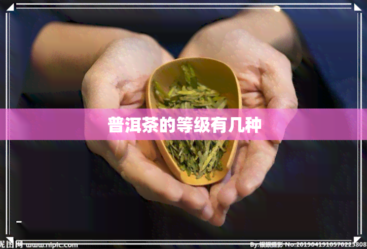 普洱茶的等级有几种