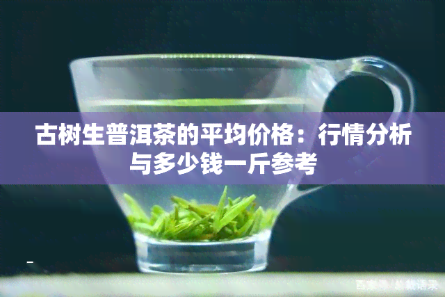 古树生普洱茶的平均价格：行情分析与多少钱一斤参考