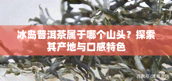 冰岛普洱茶属于哪个山头？探索其产地与口感特色