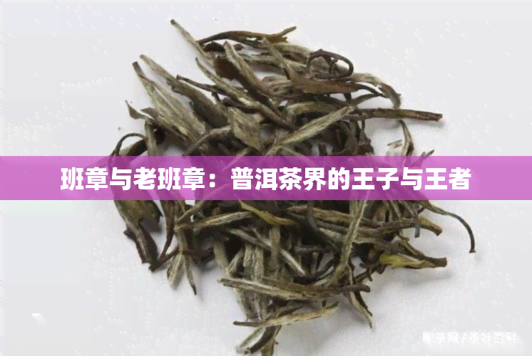 班章与老班章：普洱茶界的王子与王者