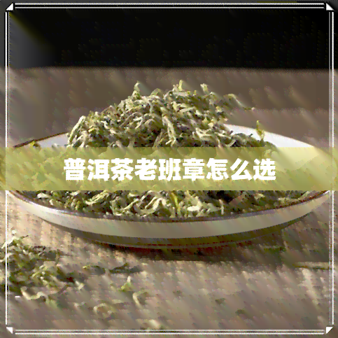 普洱茶老班章怎么选