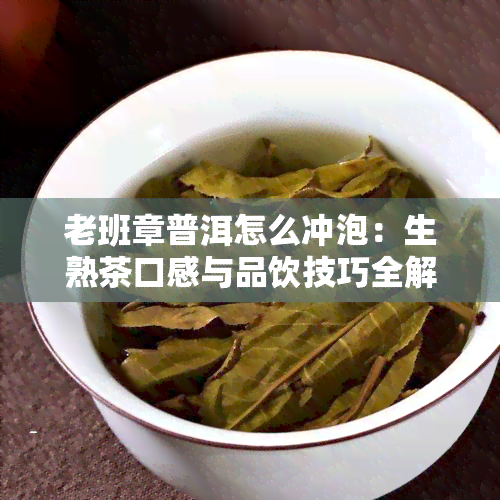 老班章普洱怎么冲泡：生熟茶口感与品饮技巧全解析