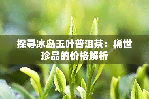 探寻冰岛玉叶普洱茶：稀世珍品的价格解析