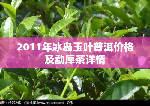 2011年冰岛玉叶普洱价格及勐库茶详情