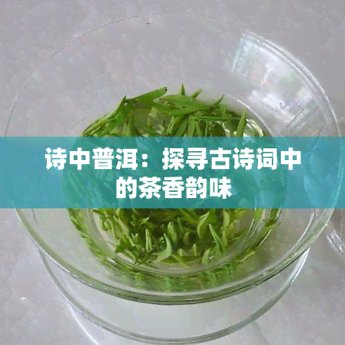 诗中普洱：探寻古诗词中的茶香韵味