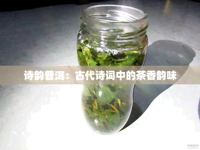 诗韵普洱：古代诗词中的茶香韵味