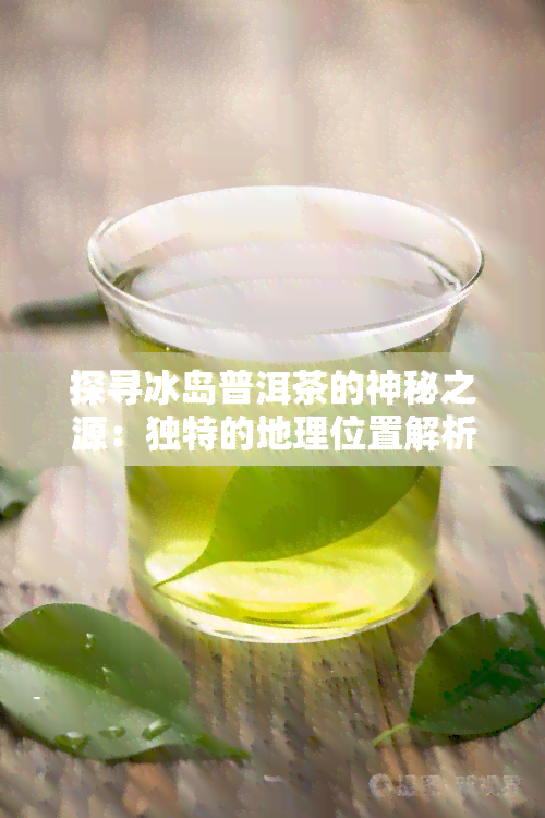 探寻冰岛普洱茶的神秘之源：独特的地理位置解析