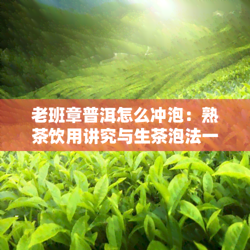 老班章普洱怎么冲泡：熟茶饮用讲究与生茶泡法一览