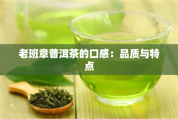 老班章普洱茶的口感：品质与特点