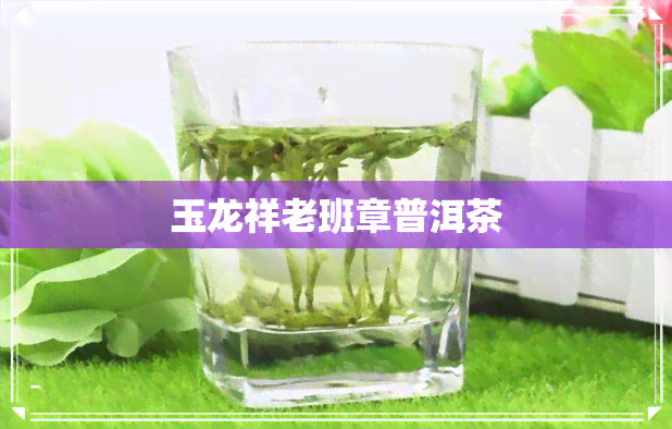 玉龙祥老班章普洱茶