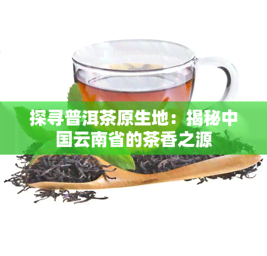 探寻普洱茶原生地：揭秘中国云南省的茶香之源