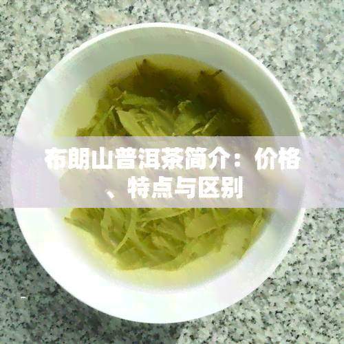 布朗山普洱茶简介：价格、特点与区别