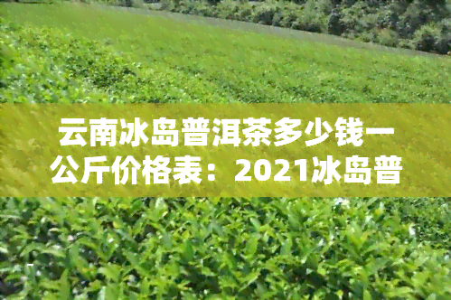 云南冰岛普洱茶多少钱一公斤价格表：2021冰岛普洱茶价格解析