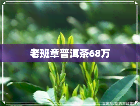 老班章普洱茶68万