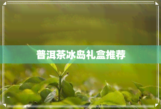 普洱茶冰岛礼盒推荐