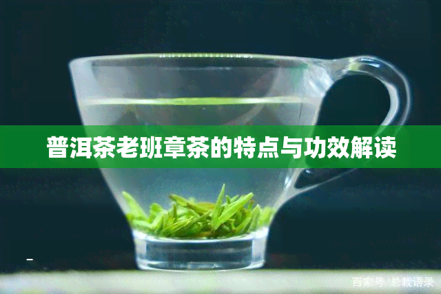 普洱茶老班章茶的特点与功效解读