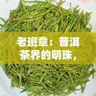 老班章：普洱茶界的明珠，探寻其独特之意