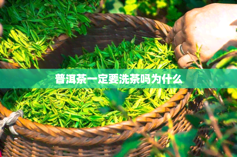 普洱茶一定要洗茶吗为什么