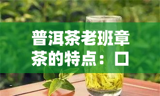 普洱茶老班章茶的特点：口感、功效及含义