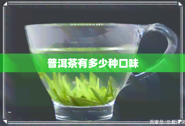 普洱茶有多少种口味