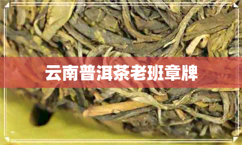 云南普洱茶老班章牌