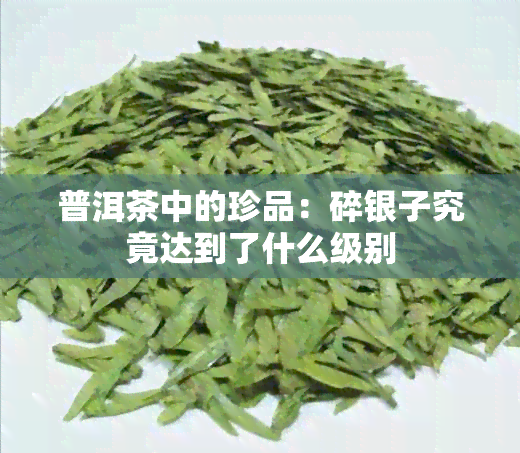 普洱茶中的珍品：碎银子究竟达到了什么级别