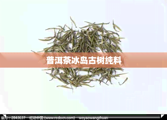 普洱茶冰岛古树纯料