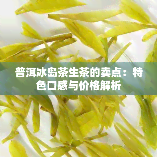 普洱冰岛茶生茶的卖点：特色口感与价格解析