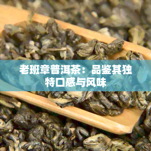 老班章普洱茶：品鉴其独特口感与风味