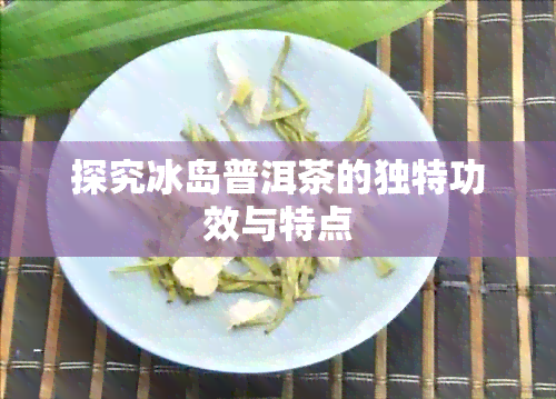 探究冰岛普洱茶的独特功效与特点