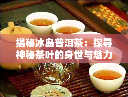 揭秘冰岛普洱茶：探寻神秘茶叶的身世与魅力