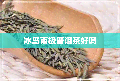 冰岛南极普洱茶好吗