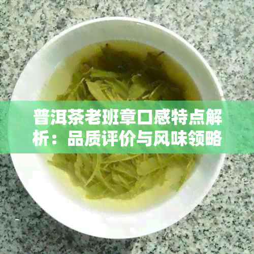 普洱茶老班章口感特点解析：品质评价与风味领略