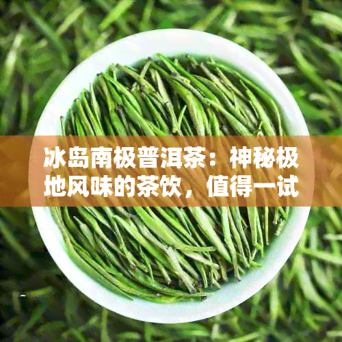 冰岛南极普洱茶：神秘极地风味的茶饮，值得一试吗？