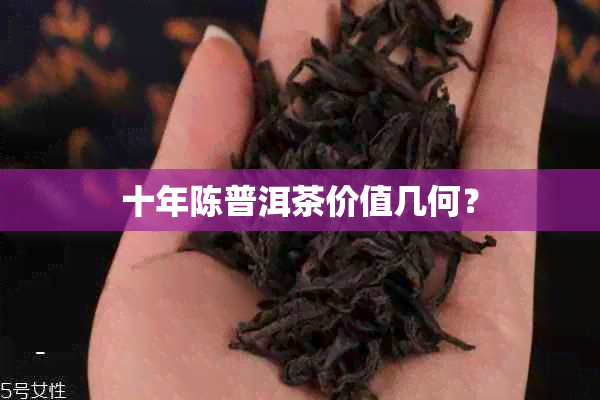 十年陈普洱茶价值几何？