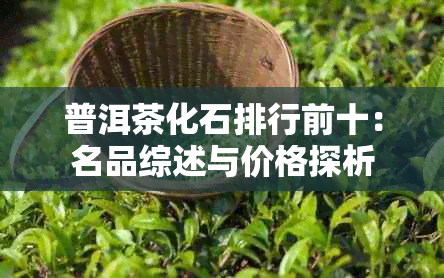 普洱茶化石排行前十：名品综述与价格探析