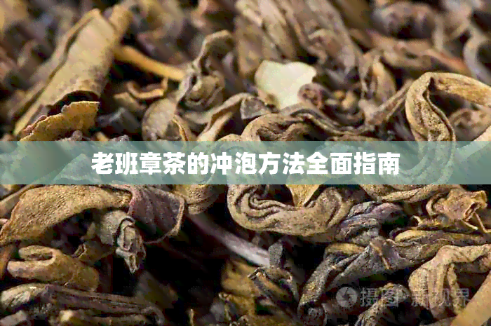 老班章茶的冲泡方法全面指南