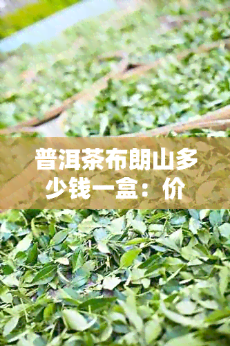 普洱茶布朗山多少钱一盒：价格比较与选购指南