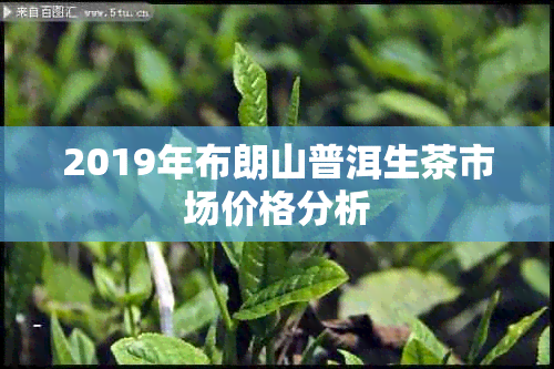 2019年布朗山普洱生茶市场价格分析